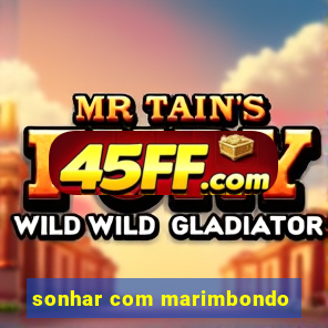 sonhar com marimbondo
